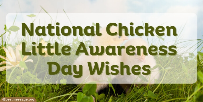 National Chicken Little Awareness Day Wishes, Quotes