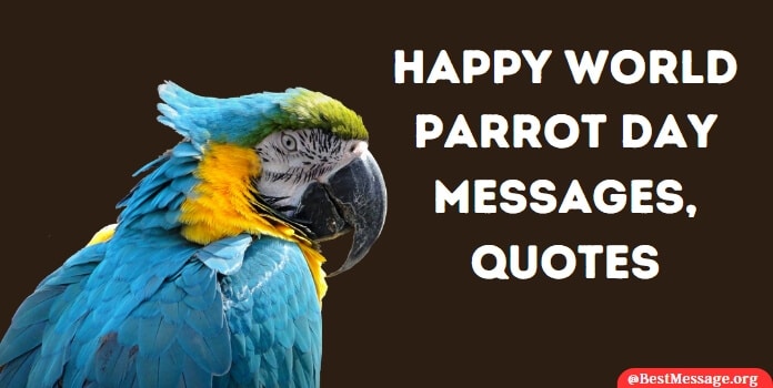 Happy Parrot Day Messages, Parrot Quotes