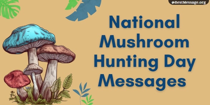 Mushroom Hunting Day Messages, Quotes