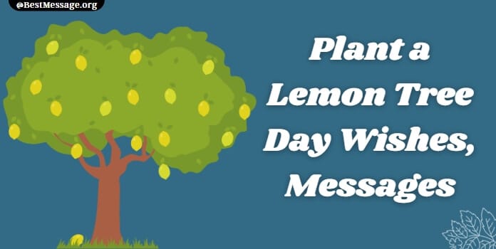 Plant a Lemon Tree Day Wishes, Messages