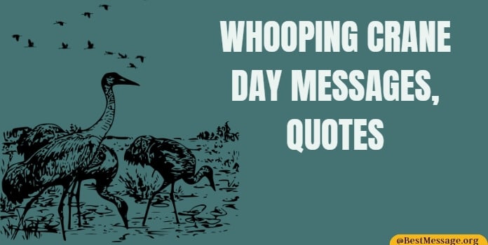 Whooping Crane Day Messages, Quotes
