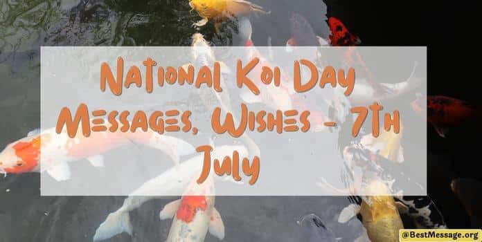 National Koi Day Messages, Wishes