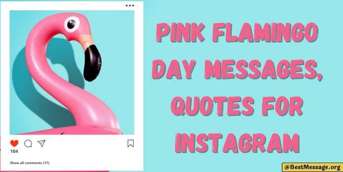 Pink Flamingo Day Messages, Quotes
