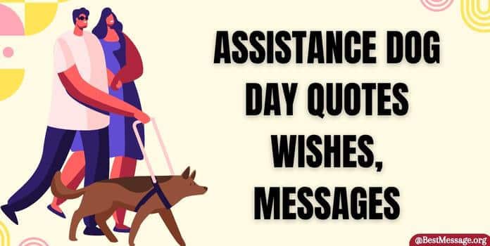 Assistance Dog Day Quotes Messages