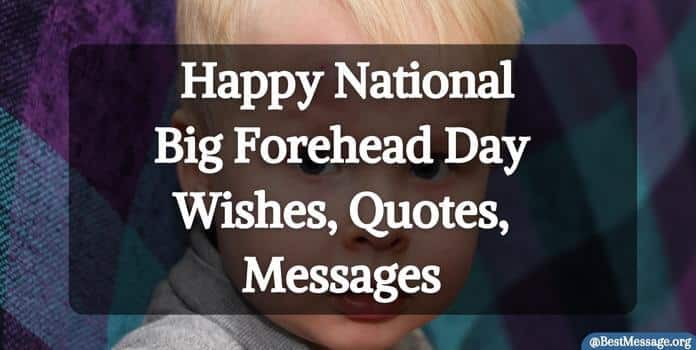 Happy Big Forehead Day Wishes, Quotes