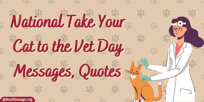 Bring Your Cat to the Vet Day Message quotes