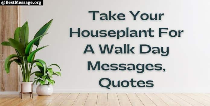 Take Your Houseplant For A Walk Day Messages, Quotes