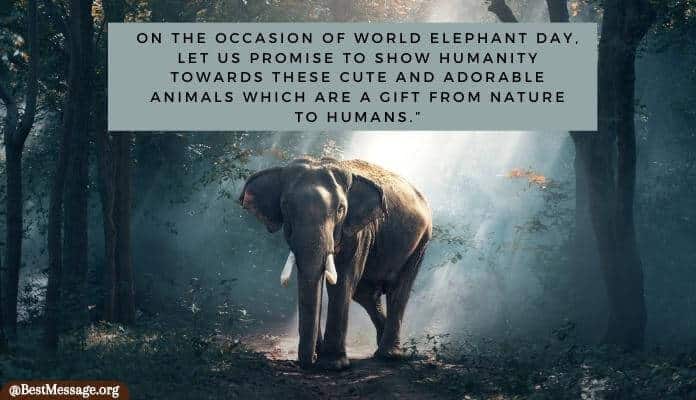 World Elephant Day Messages