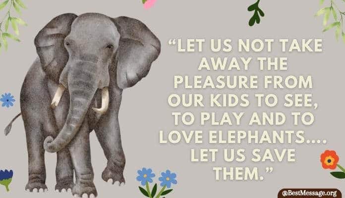 Inspirational Elephant Day Quotes