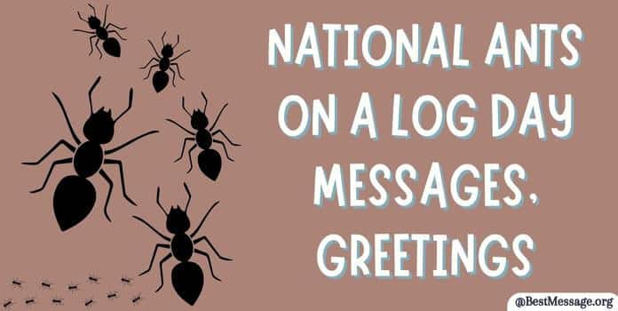 National Ants on a Log Day Wishes, Messages