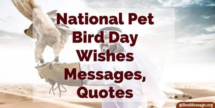 National Pet Bird Day Wishes Messages, Quotes