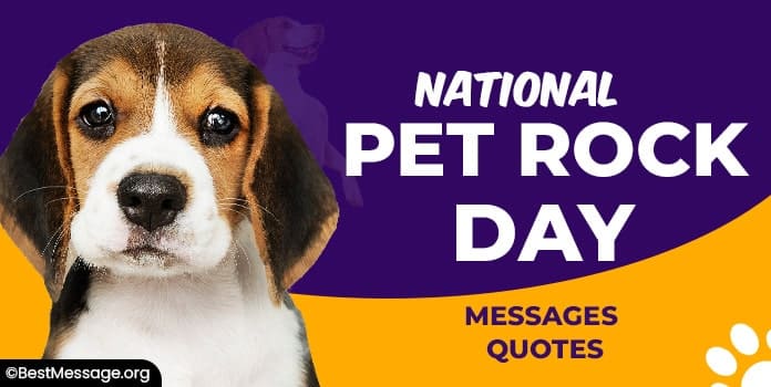 National Pet Rock Day Messages, Quotes