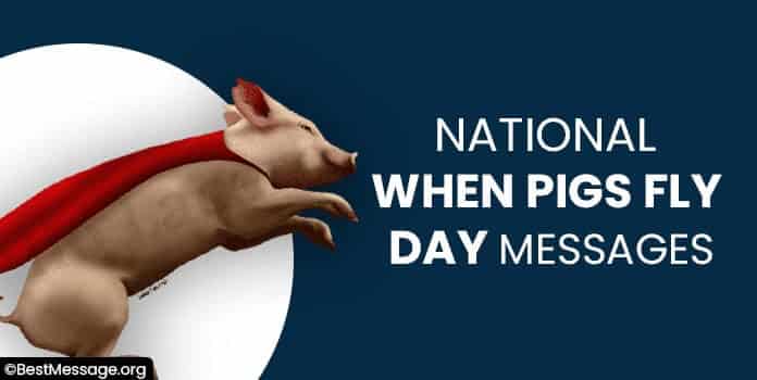 National When Pigs Fly Day Messages, Quotes