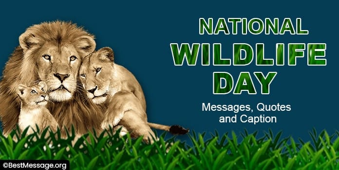 National Wildlife Day Quotes Caption
