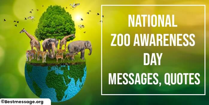Zoo Awareness Day Messages, Zoo Quotes