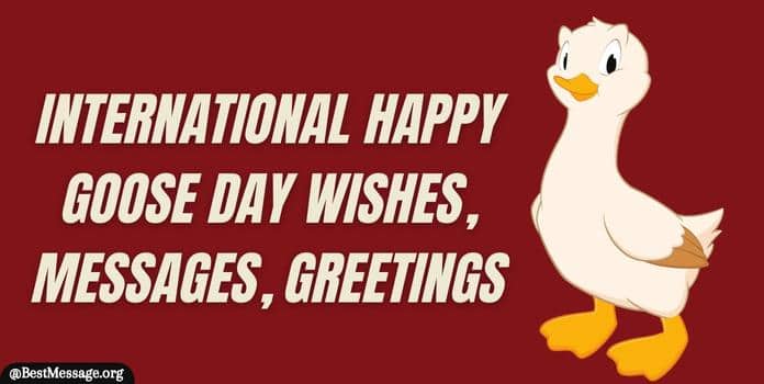International Happy Goose Day Wishes, Messages
