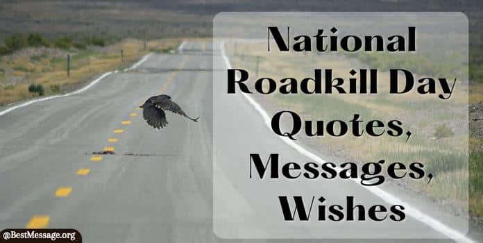 National Roadkill Day Quotes, Messages