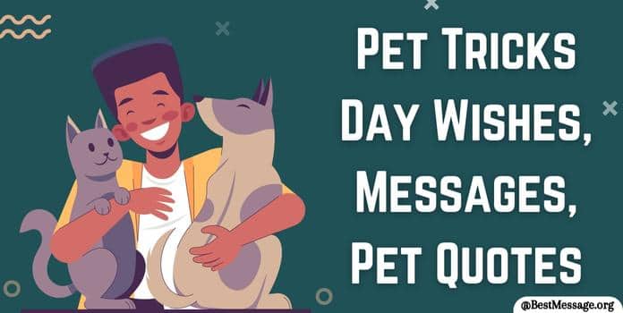 Pet Tricks Day Messages, Quotes