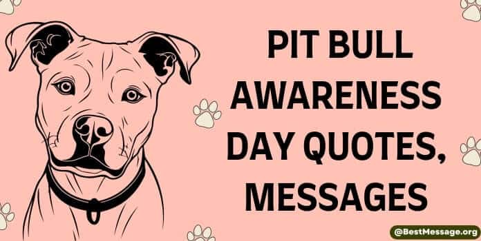 Pit Bull Awareness Day Quotes, Messages