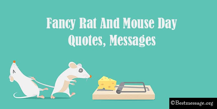Fancy Rat And Mouse Day Wishes, Quotes, Messages