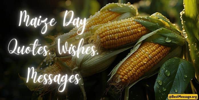 Maize Day Quotes, Wishes, Messages