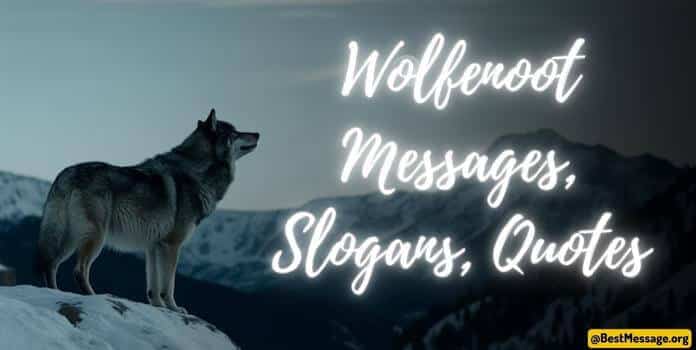Wolfenoot Messages, Slogans, Wolfenoot Quotes