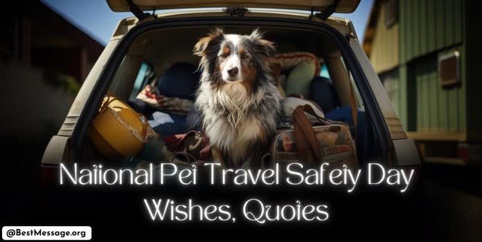 National Pet Travel Safety Day Quotes, Messages