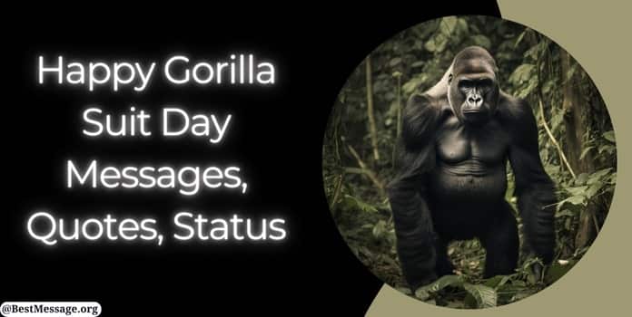 Happy Gorilla Suit Day Messages, Quotes, Wishes