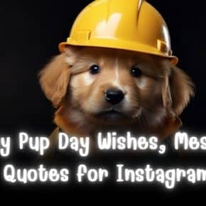 Safety Pup Day Messages, Quotes