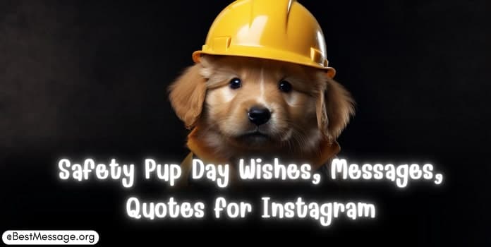 Safety Pup Day Messages, Quotes