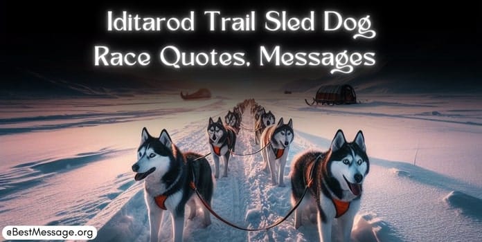 Iditarod Trail Sled Dog Race Quotes, Messages