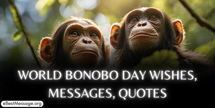 World Bonobo Day Wishes, Messages, Quotes